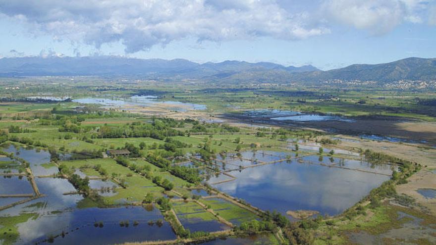 Aiguamolls de l&#039;Empordà, aire primitiu