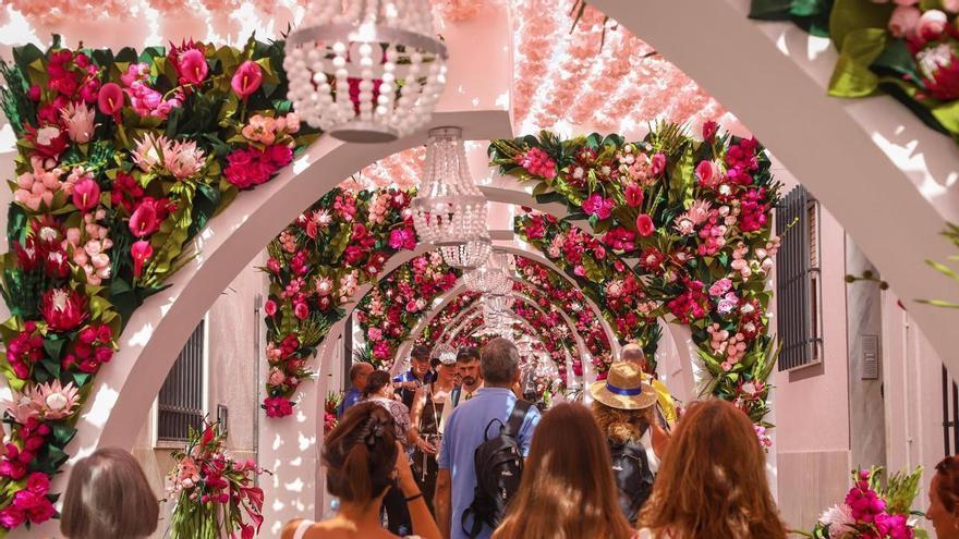 Fotogalería | Campo Maior se engalana con flores hasta el próximo domingo