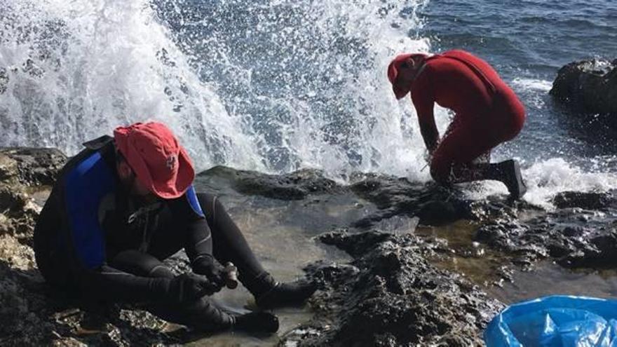 Las playas cercanas a la Torre de Cope &#039;pesan&#039; 250 kilos menos