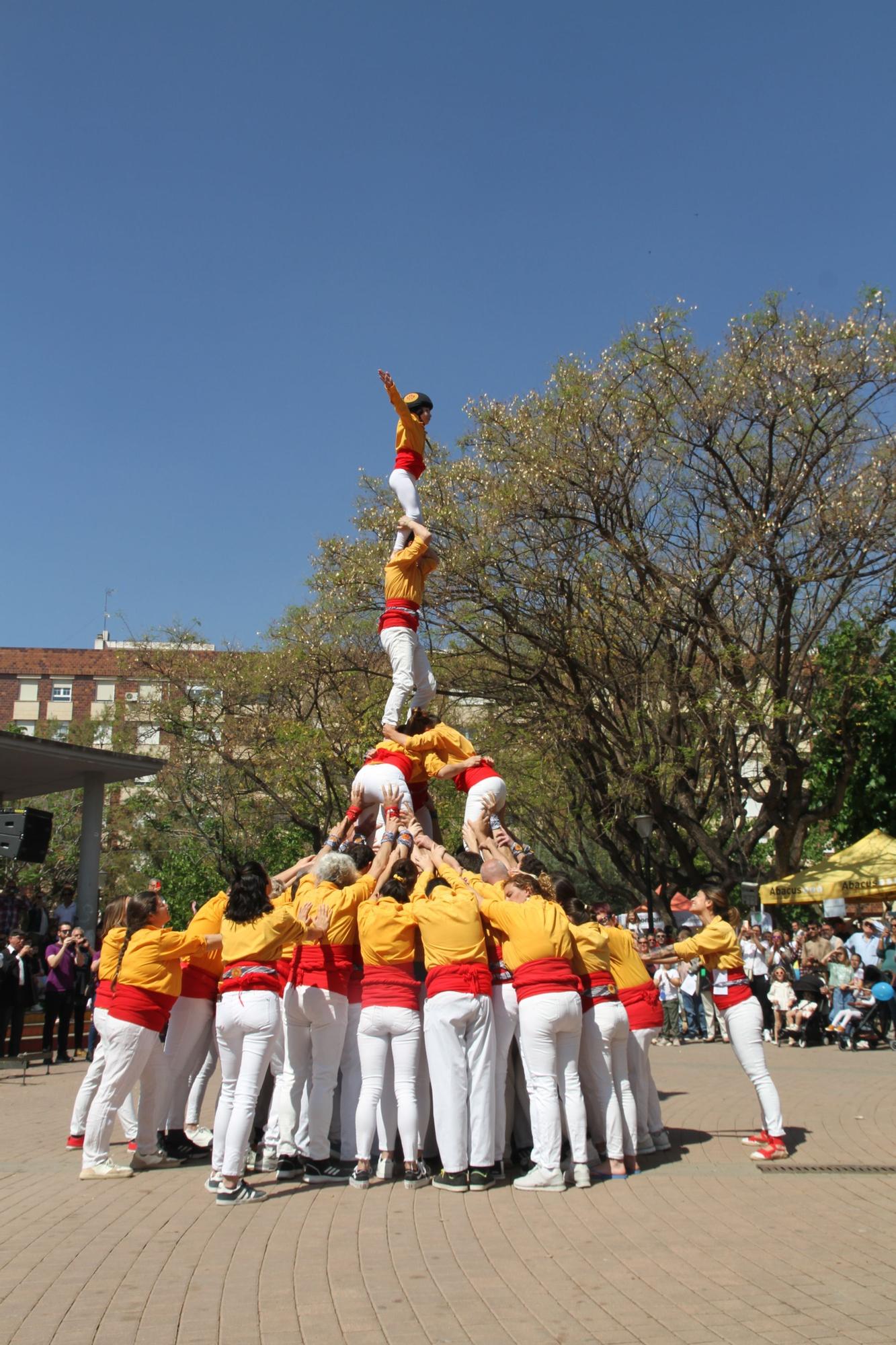 Festa per la llengua