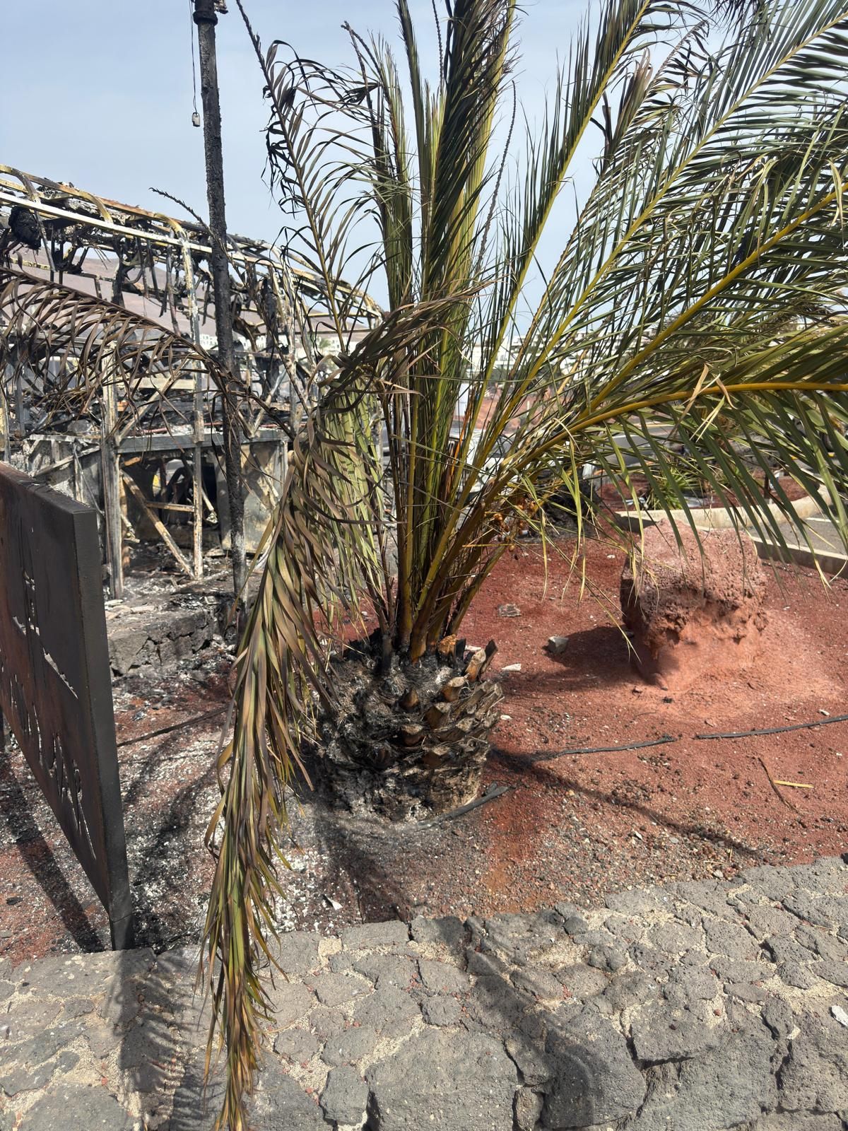 Incendio de una guagua en Lanzarote