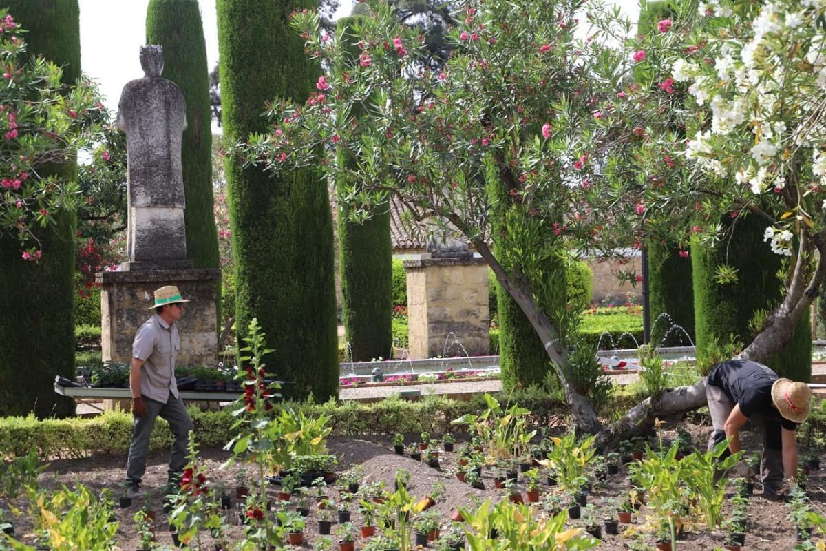 Los jardines del Alcázar reabren para la ciudad