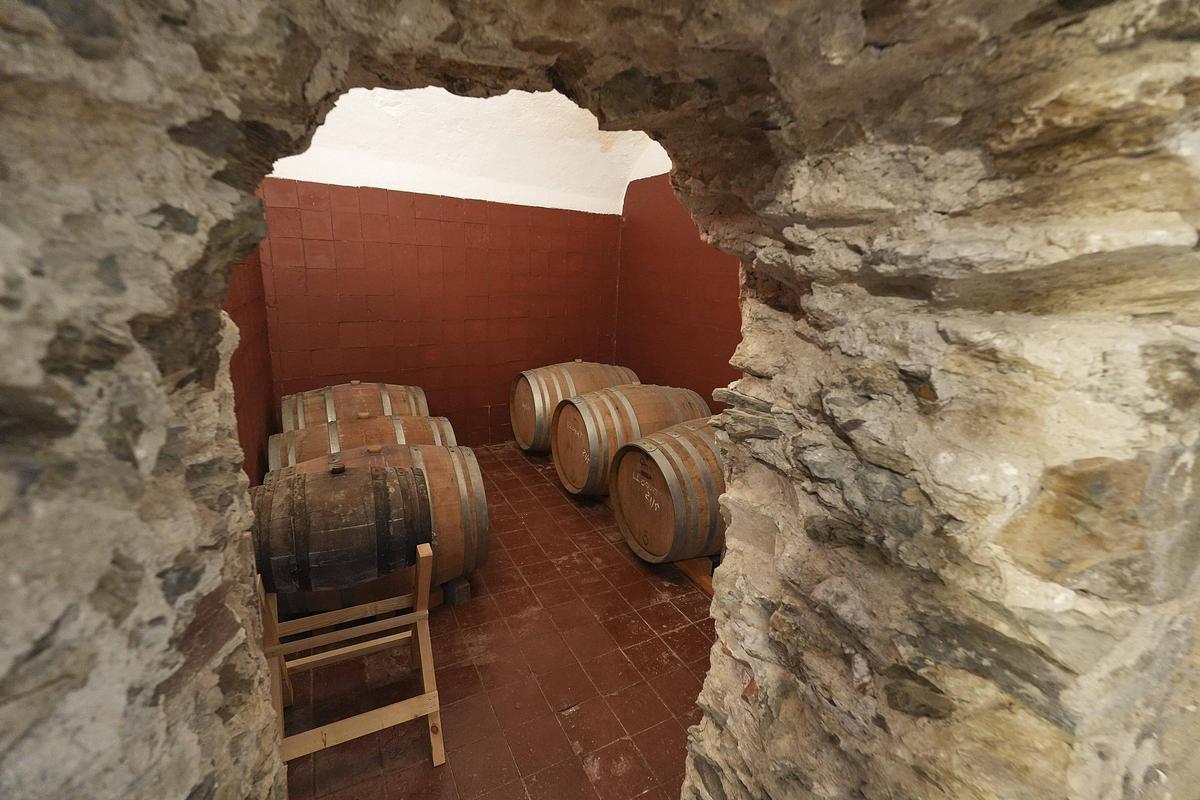 Espai del mas reconvertit en la sala de botes del celler