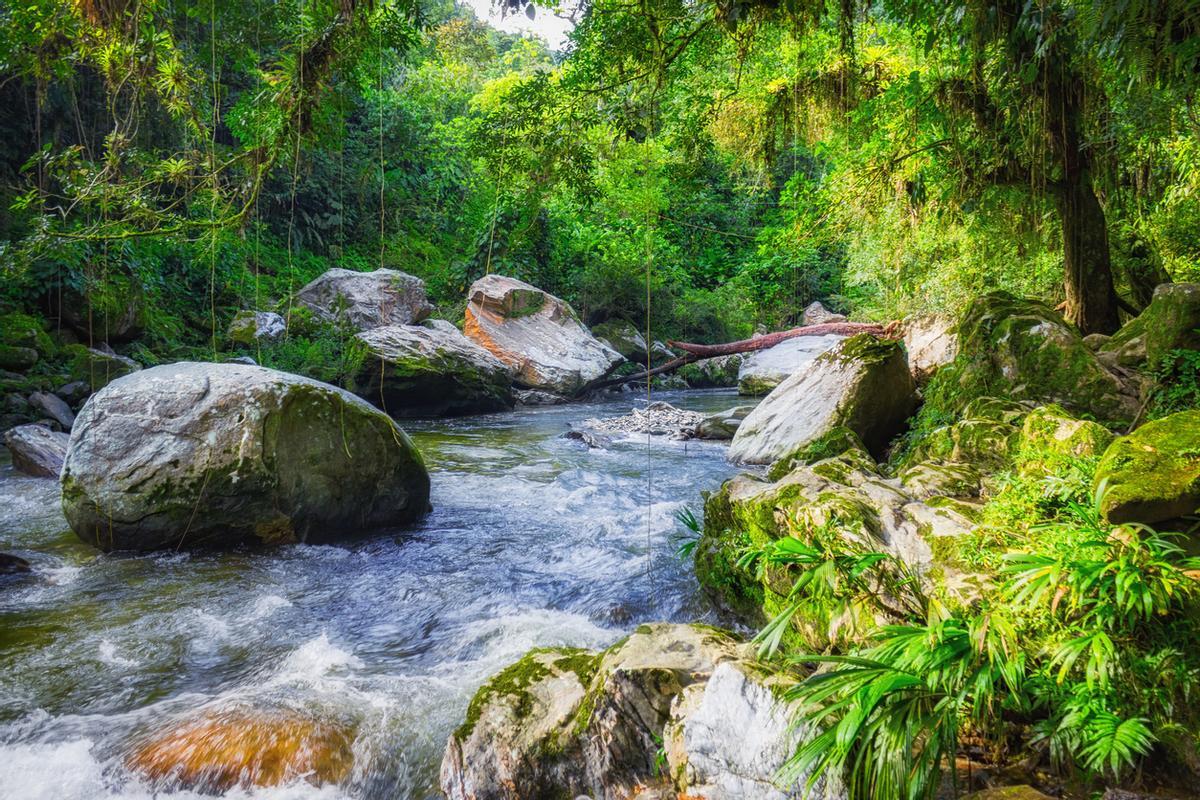 En lo más profundo de las montañas de la Sierra Nevada, entre ríos y selva, está la Ciudad Perdida de Colombia