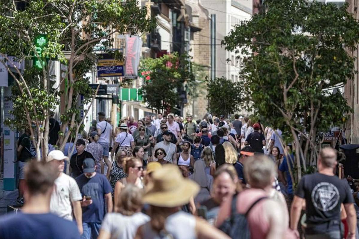 El problema se multiplica durante la temporada turística con la llegada de grupos organizados.