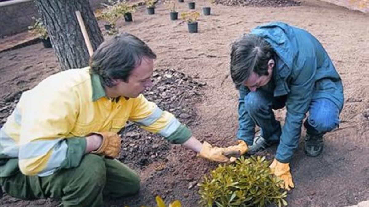 Un técnico alecciona, ayer, a un usuario en el parterre recuperado.