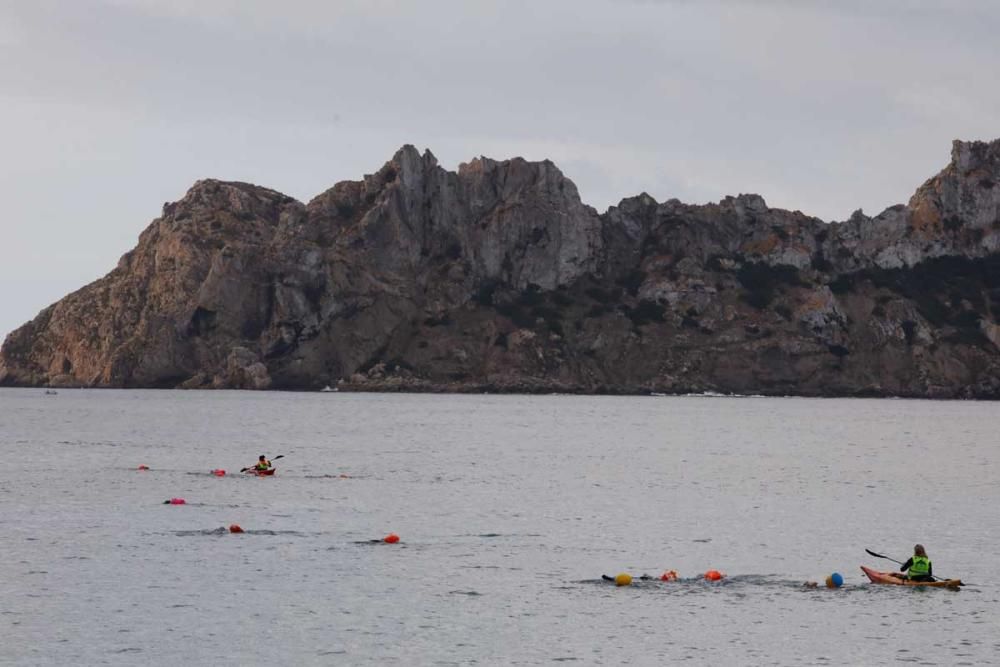 Posidonia Race