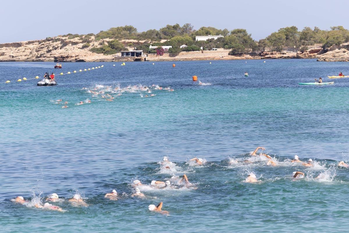 Las imágenes de la travesía a nado del Canal de Sant Antoni