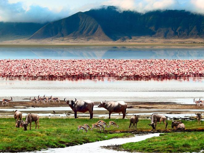 Cráter del Ngorongoro