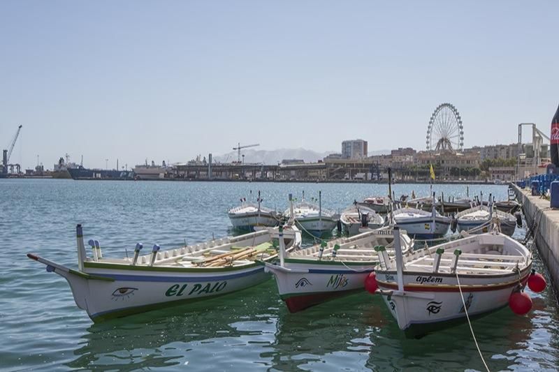 Regata de Jábegas en el Muelle Uno