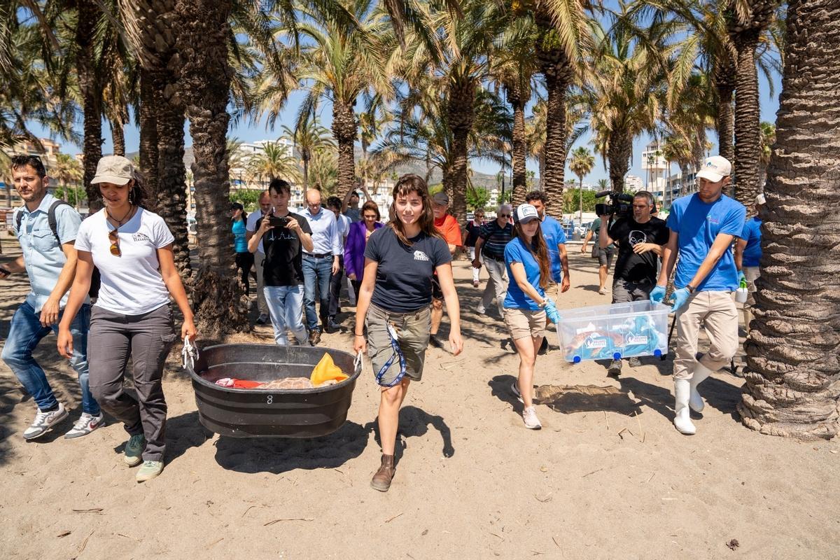Las tortugas han sido cuidadas en los Centros de Gestión del Medio Marino Andaluz con ayuda de Selwo Marina y Seashore.