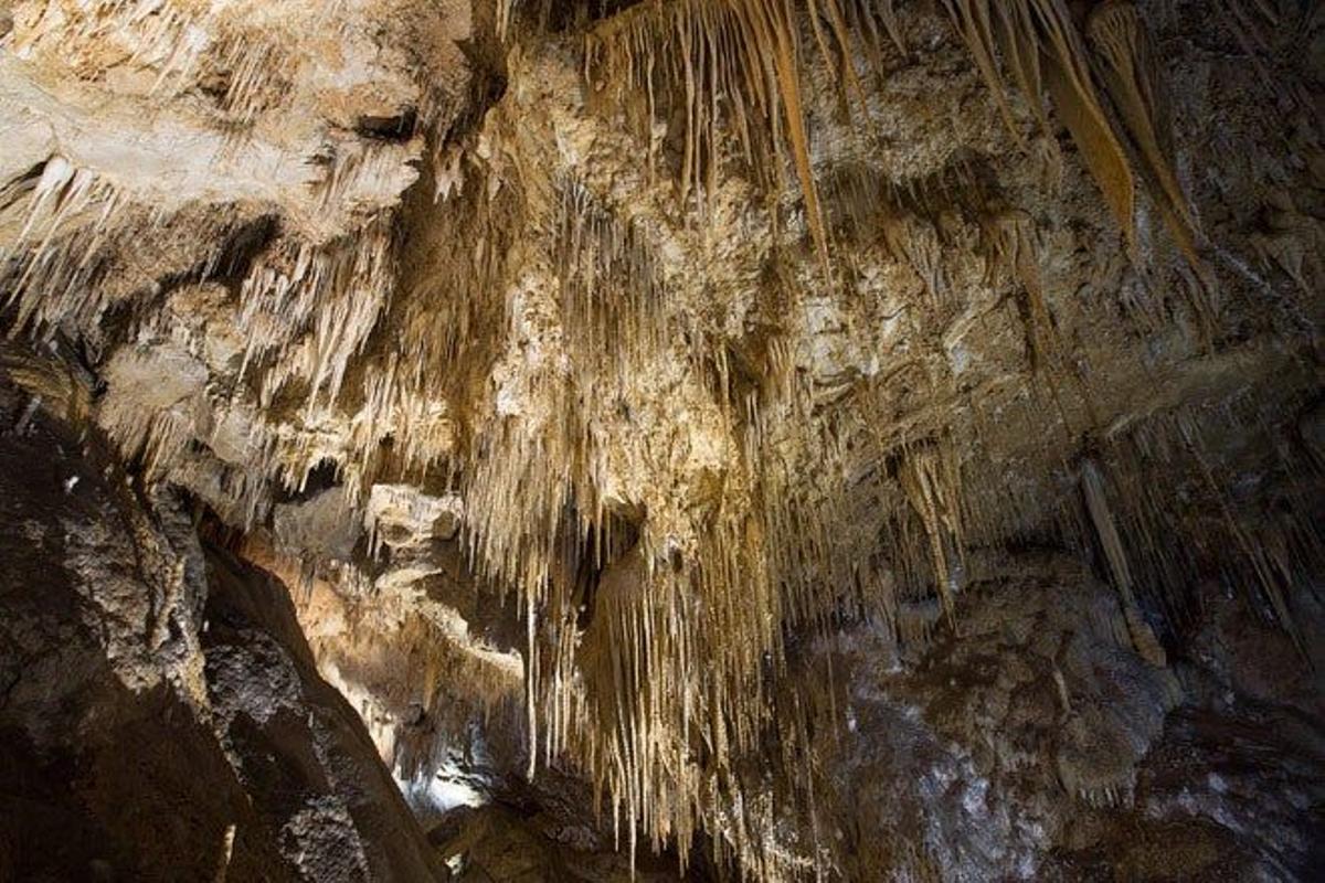 Interior de una cueva en Tasmania.