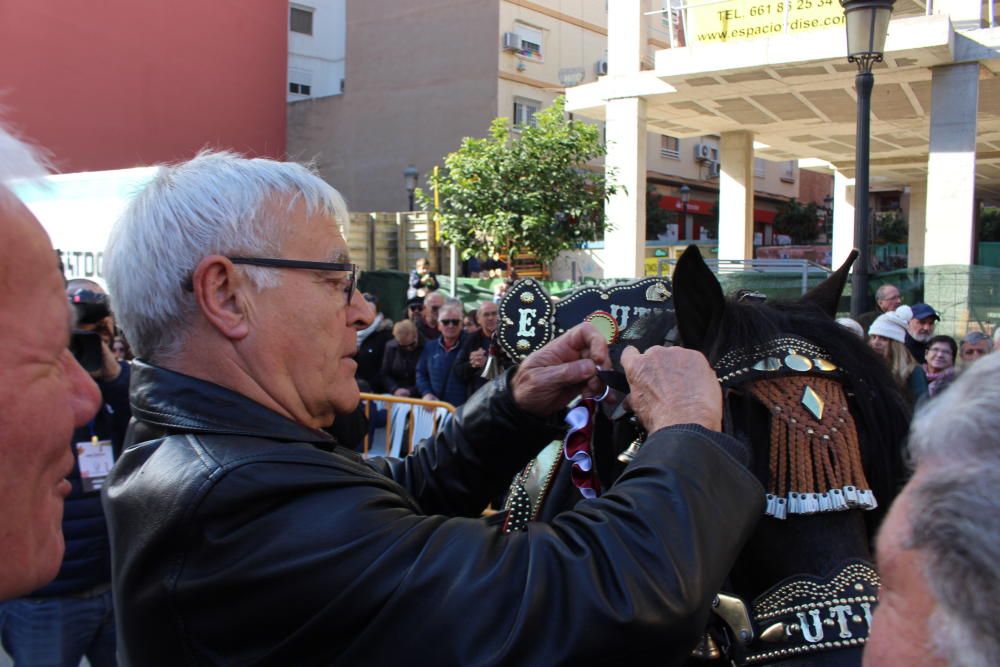 Fiesta de Sant Antoni en la ciudad de València