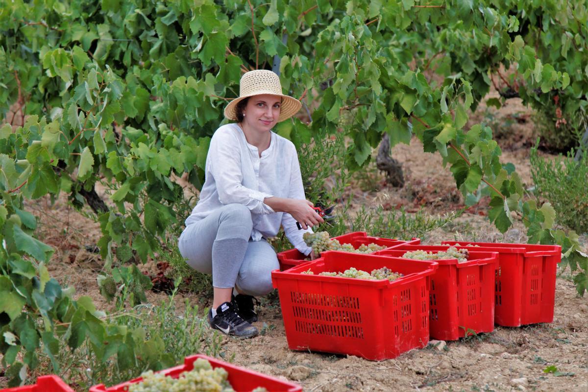 50 Viticultores del Penedès