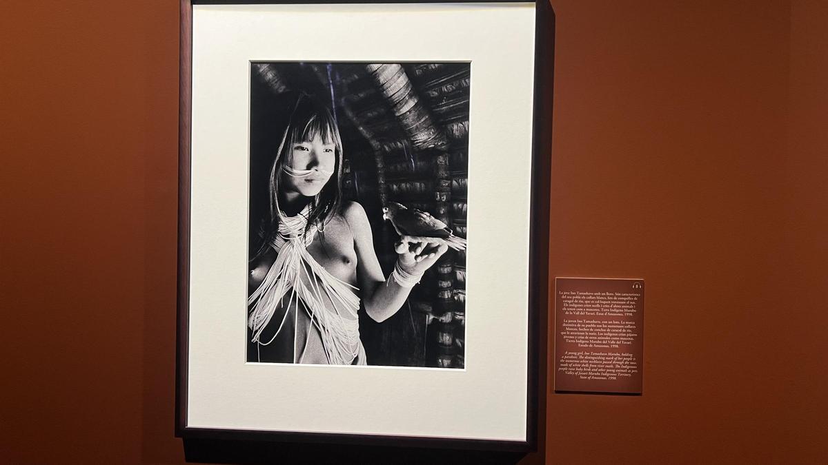 Exposición fotográfica Amazônia, de Sebastião Salgado, en Barcelona