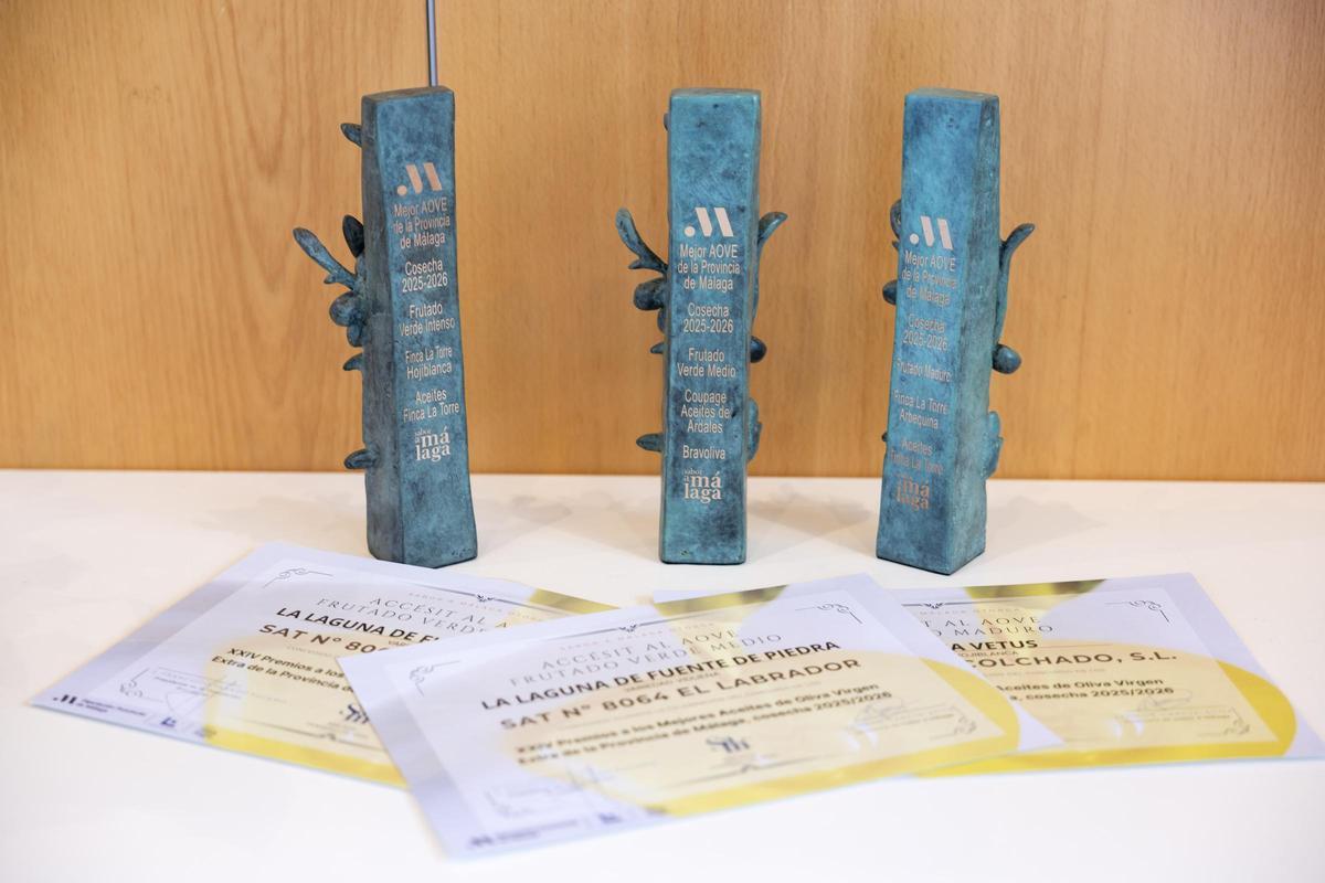 Los premios Sabor a Málaga que reconocen a los mejores aceites de oliva virgen extra de la provincia