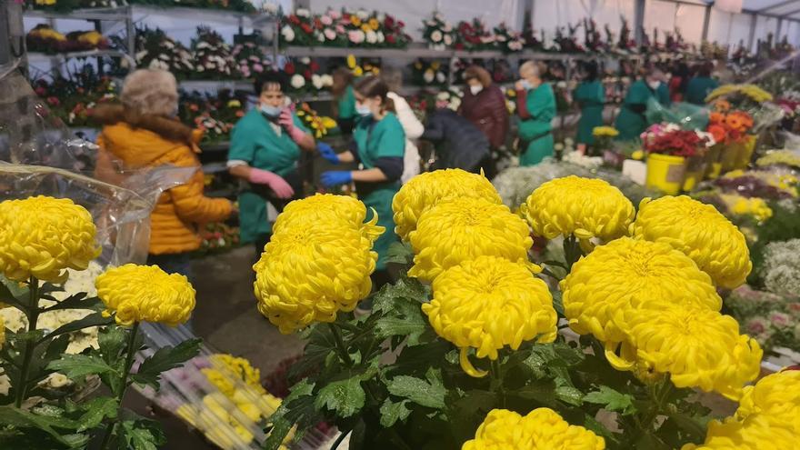 Un paseo entre las flores (de difuntos)