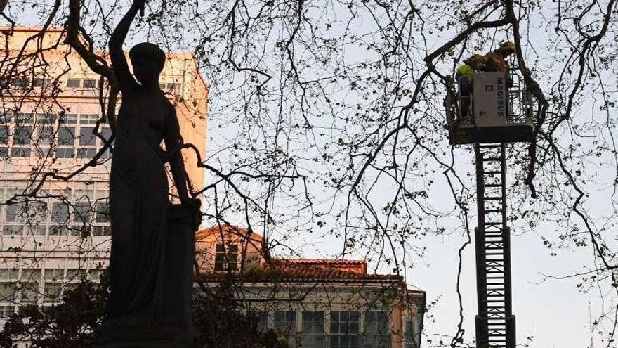 Los bomberos acuden a Azcárraga por ramas a punto de desprenderse