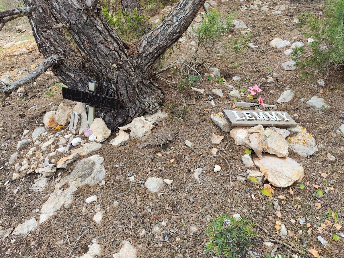 El cementerio ilegal de perros y gatos de sa Caleta en imágenes El cementerio ilegal de perros y gatos de sa Caleta en imágenes