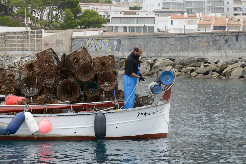 Retirada estris de pesca el Port de la Selva