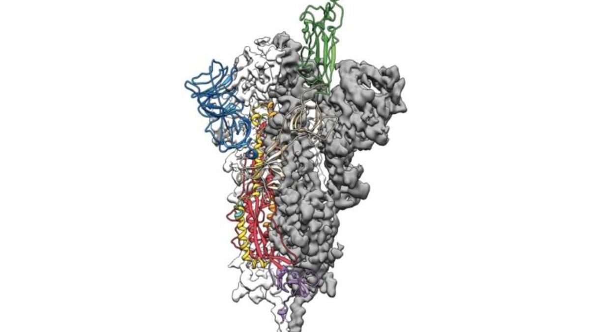 coronavirus-mapa-3d