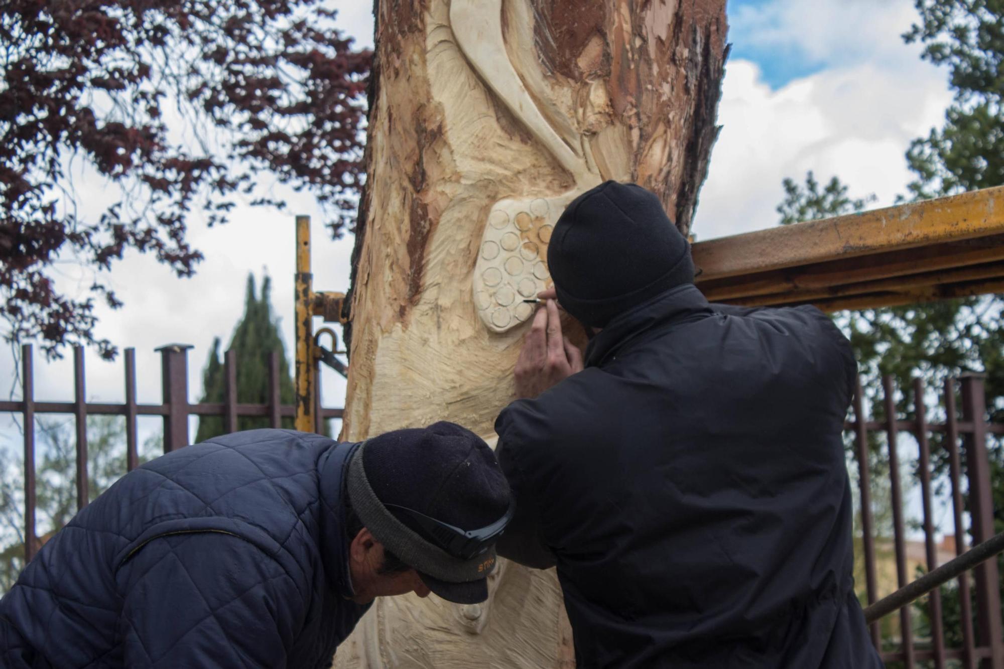 GALERÍA | El árbol de Moraleja que se convirtió en estatua