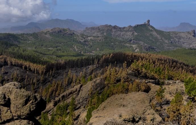 27/09/2017 CUMBRE DE GRAN CANARIA. Consejero del Gobierno de Canarias Morales del incendio. FOTO: J. PÉREZ CURBELO