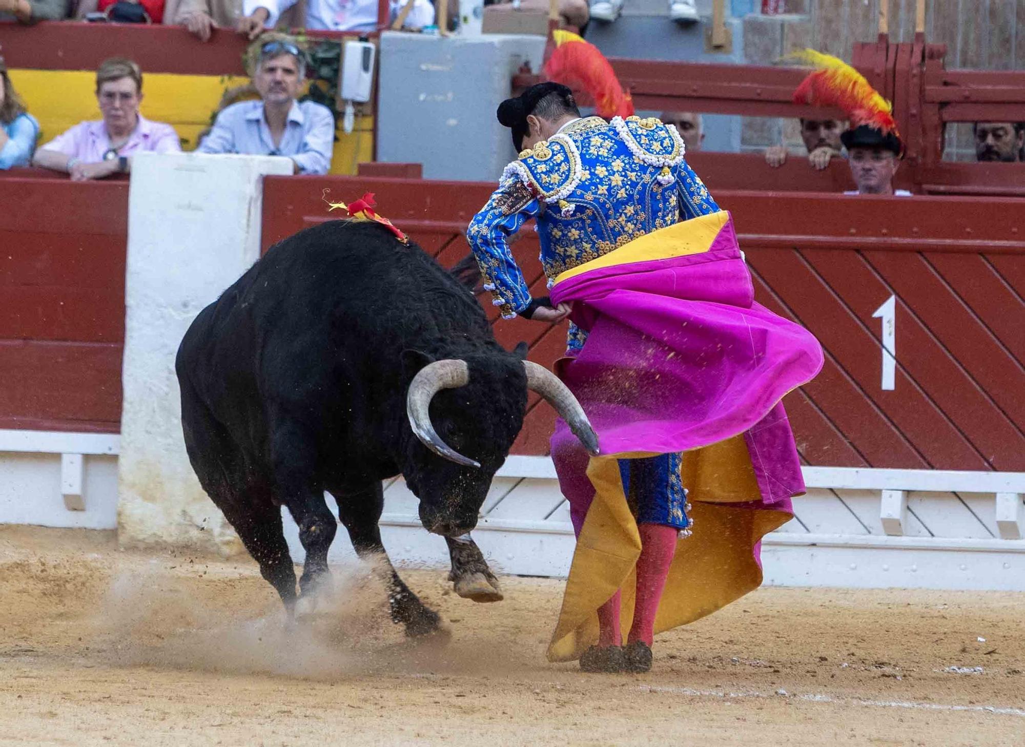 Manzanares culmina una de sus mejores tardes y sale a hombros en la Feria de Hogueras de Alicante 2025