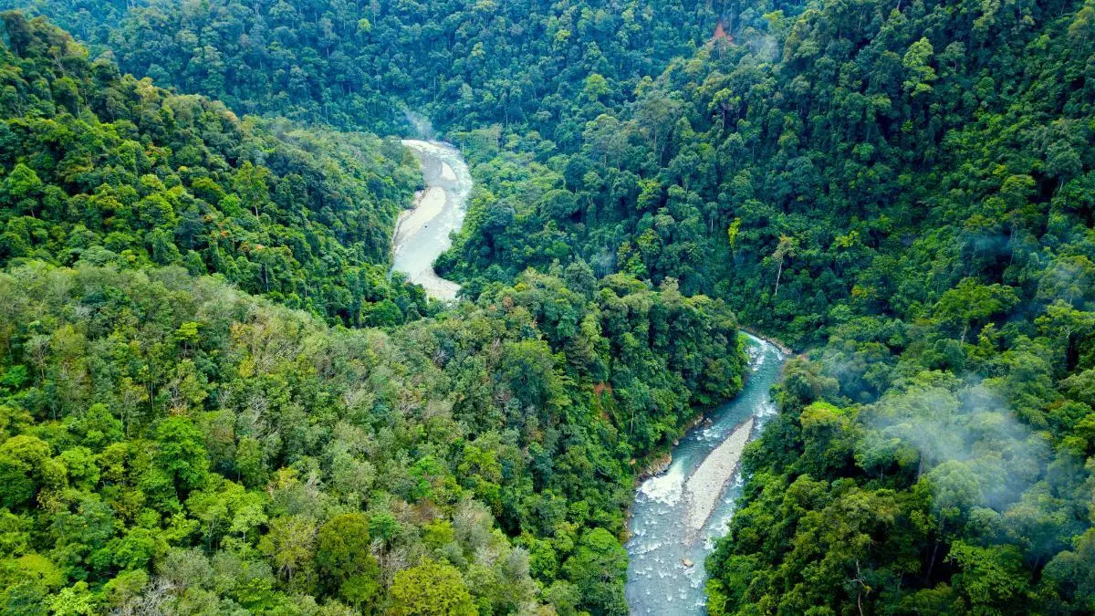 Los parques nacionales de Sumatra declarados Patrimonio de la Humanidad donde se encuentran la flor más grande del mundo y la más alta
