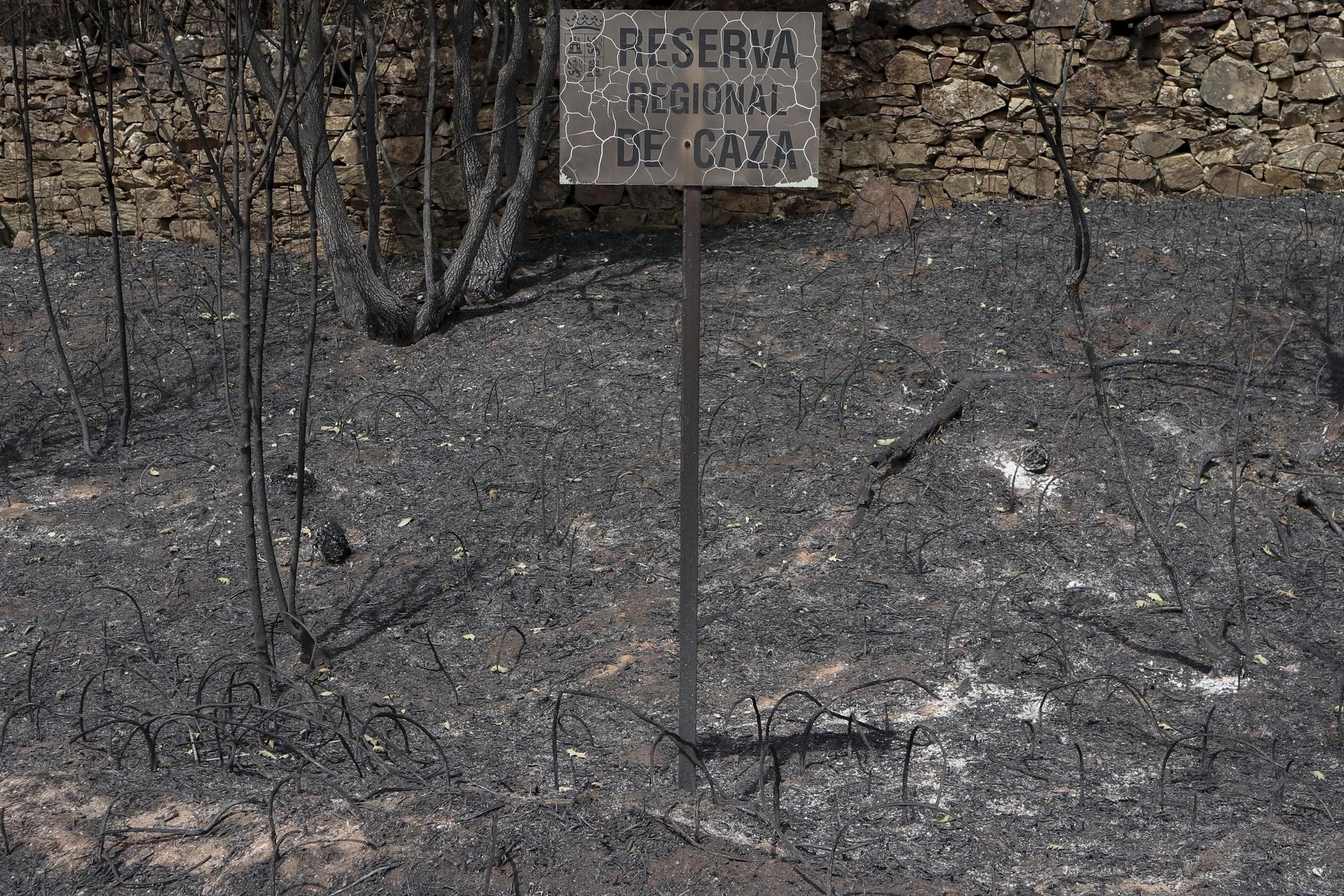 Coto de Caza en Villardeciervos tras el incendio.