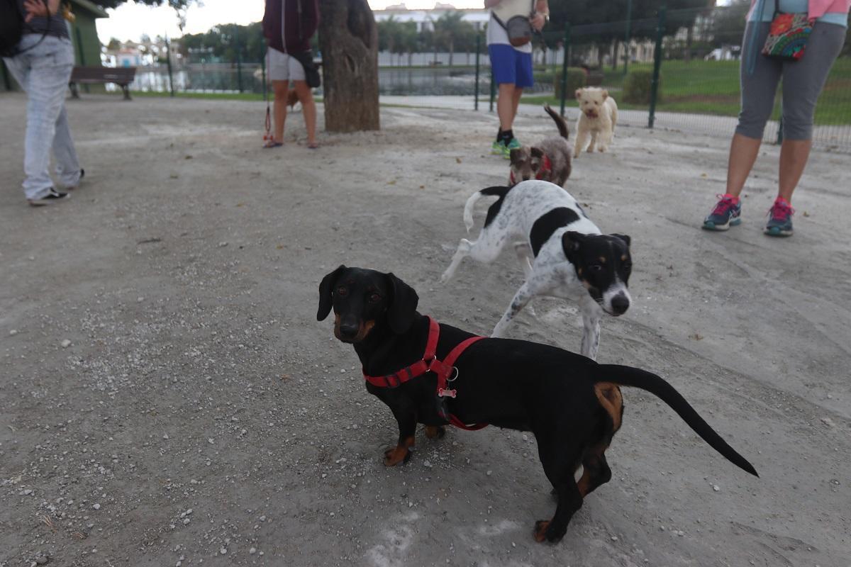 Parque canino Parque de María Luisa