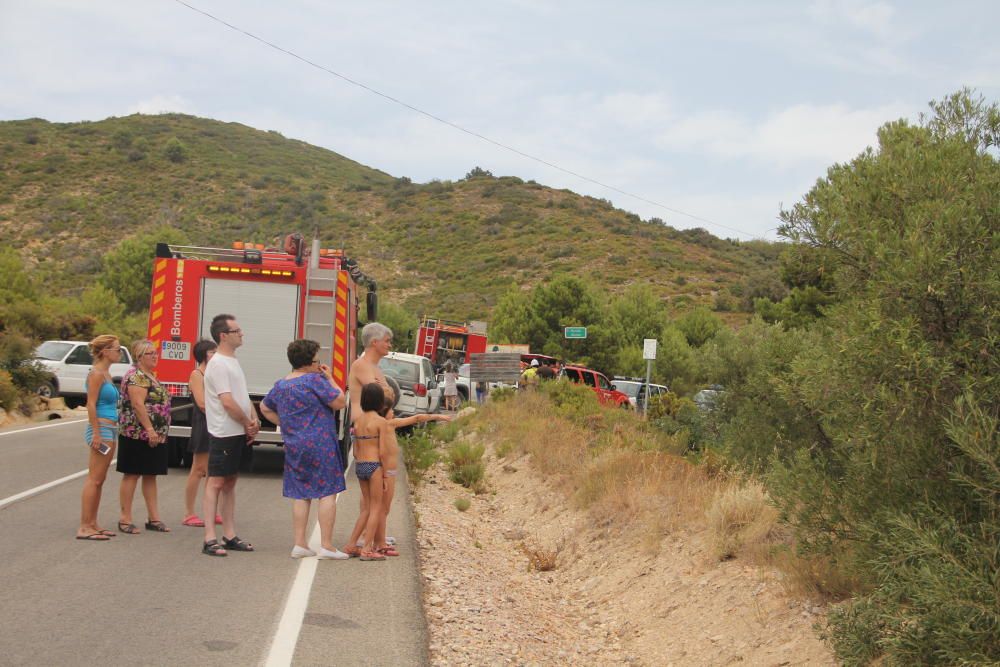 Así fue el incendio de Torremanzanas (agosto,2012)