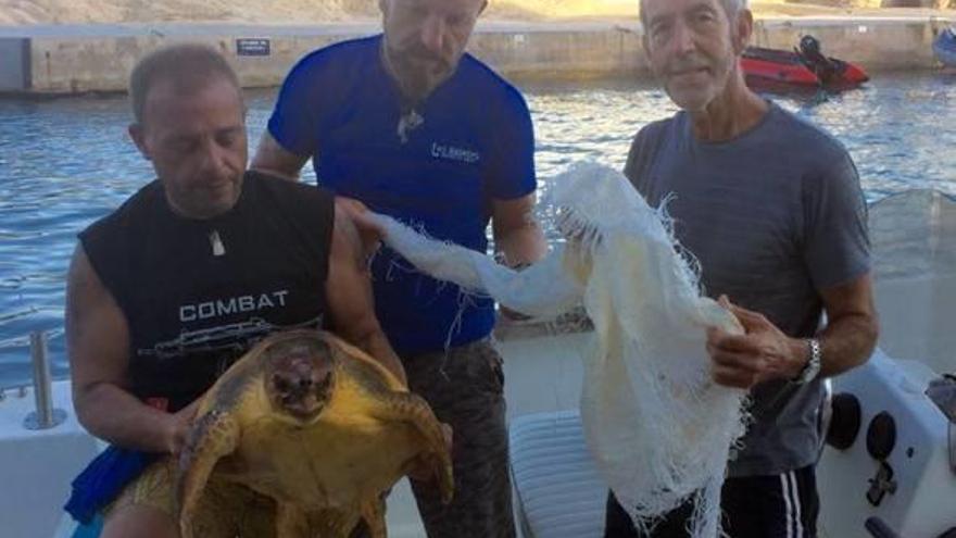 Rescate de una tortuga en Benissa