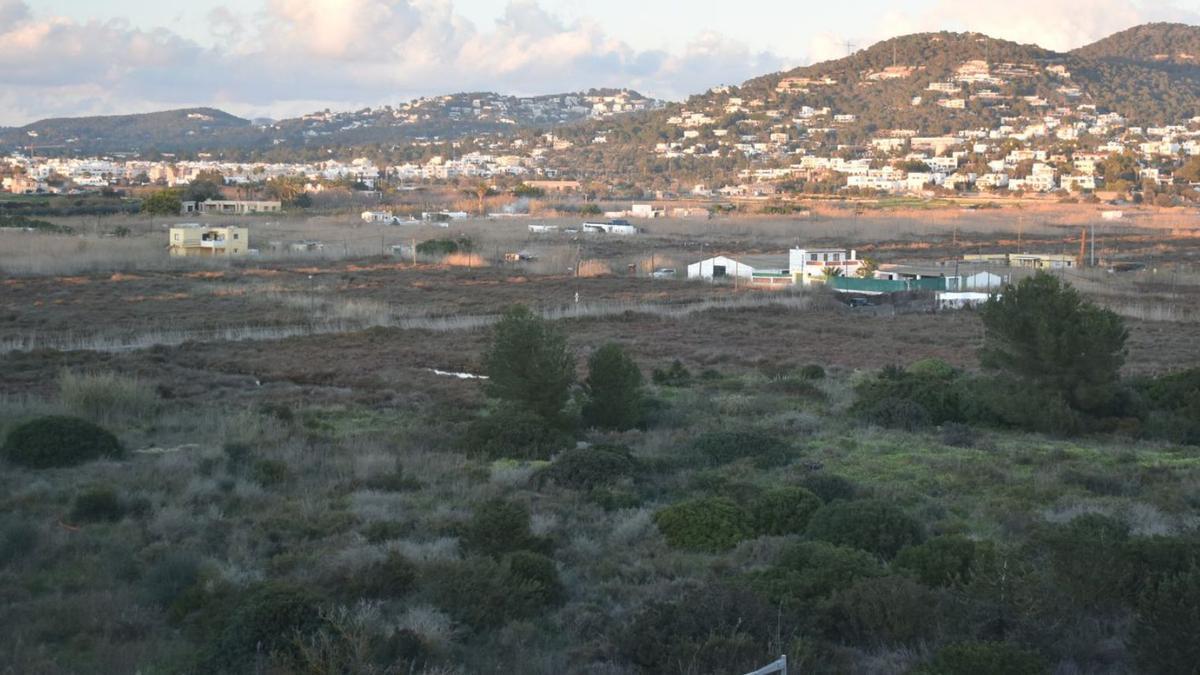 Vista parcial de ses Feixes de Talamanca, zona en la que está previsto actuar.