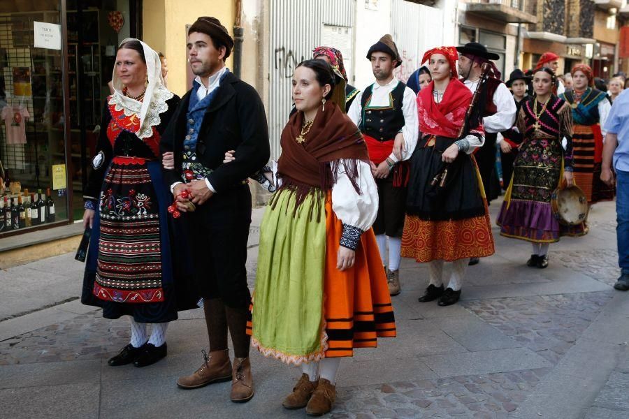 San Pedro 2016: Los trajes regionales toman Zamora