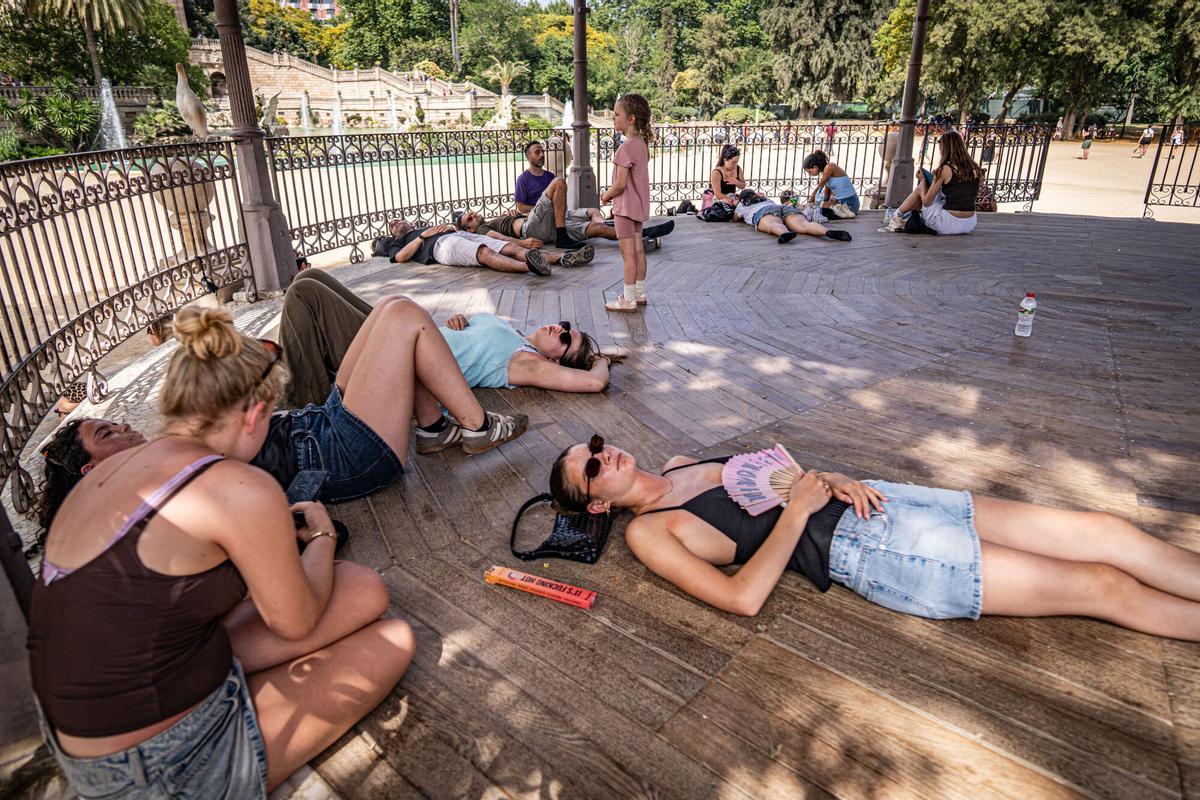 Visitantes y vecinos descansan a la sombra de los árboles y de las glorietas del parque de la Ciutadella para resguardarse de las altas temperaturas este junio