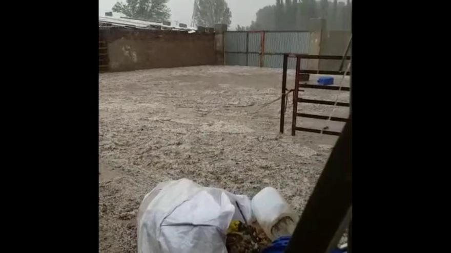 Una granja de La Hiniesta afectada por la tormenta en Zamora