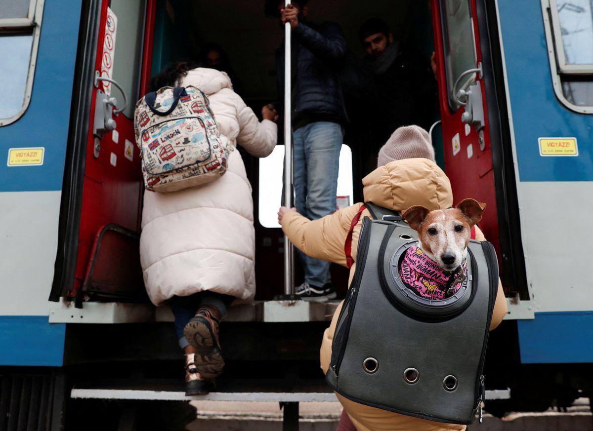 Un ciudadano ucraniano, con su perro en la mochila, sube a un tren con destino a Budapest, desde la estación húngara de Zahony.