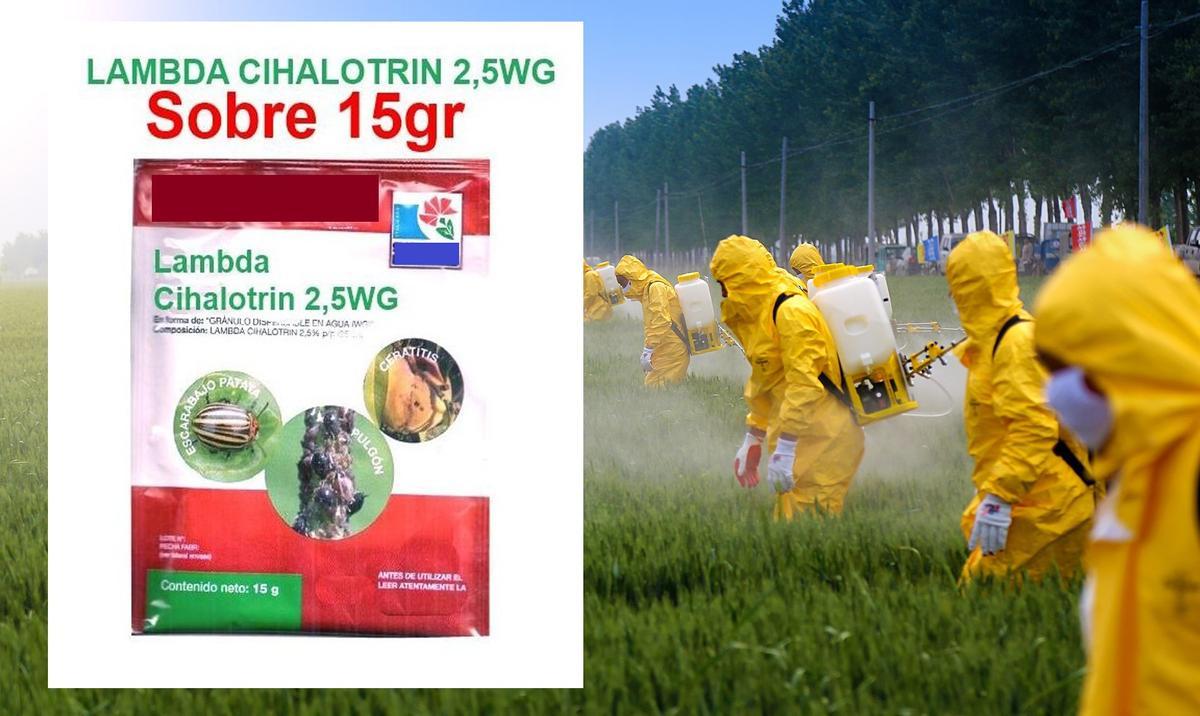 Ejemplo de producto que contiene el insecticida estudiado