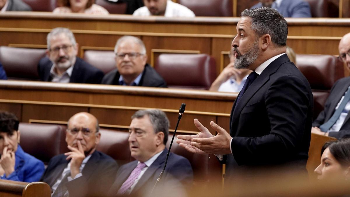 Santiago Abascal, Vox, durante la sesión de control al Gobierno en el Congreso de los Diputados.