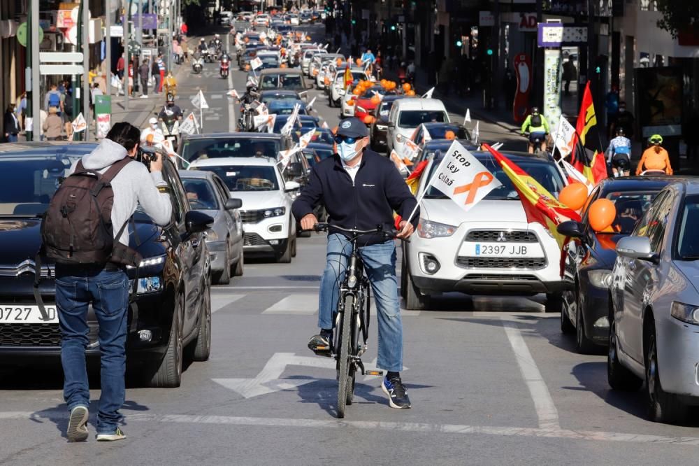 Miles de murcianos protestan en las calles contra la ley Celaá