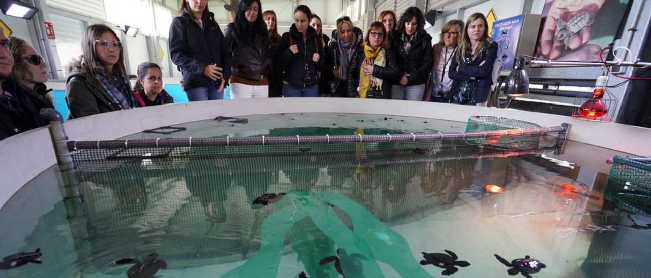 Docents visitants l’ARCA de la Mar de l’Oceanogràfic. | LEVANTE-EMV