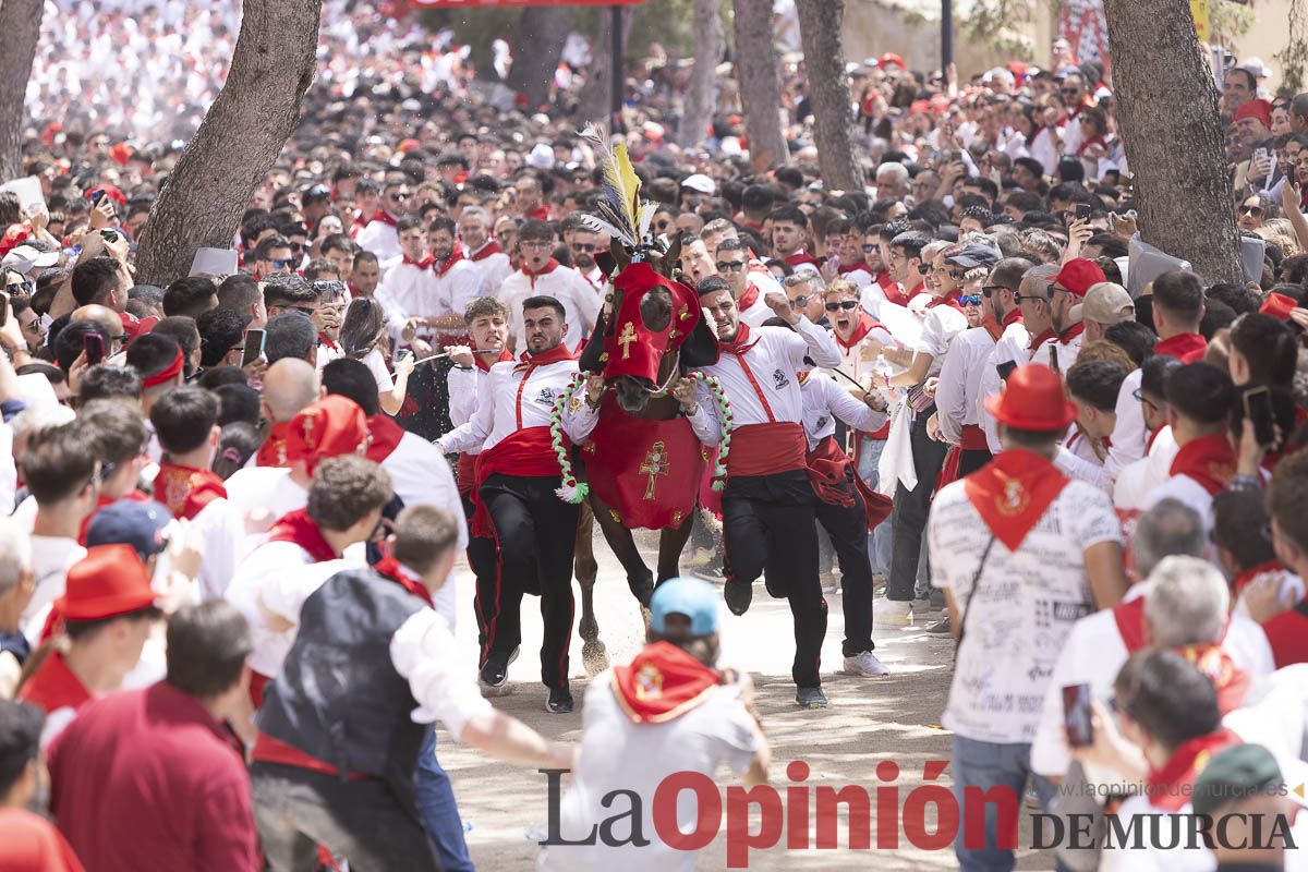 Así se ha vivido la carrera de Los Caballos del Vino en Caravaca