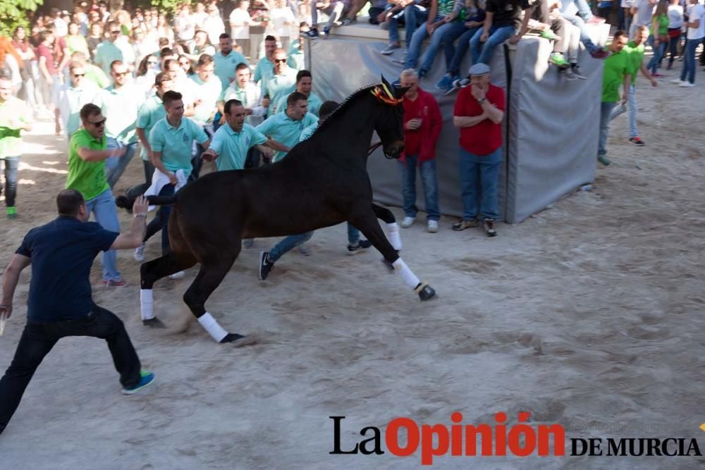 Día uno de mayo, entrada de caballos al Hoyo