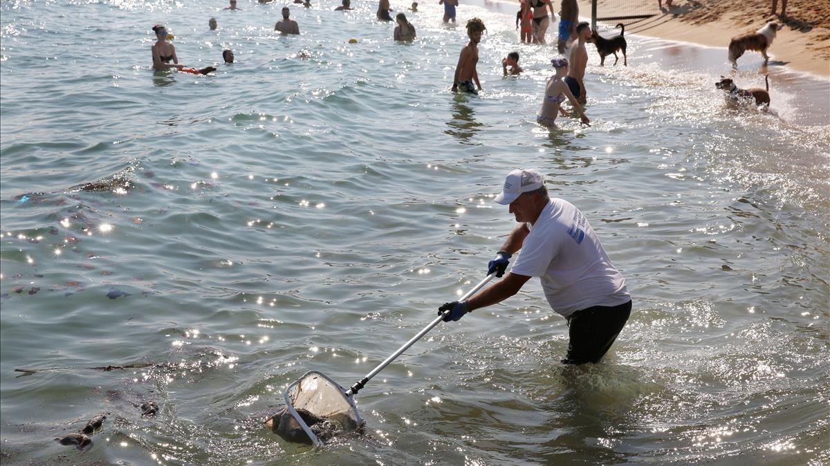 zentauroepp44704219 playa180819183641 zentauroepp44704219 playa180819183641