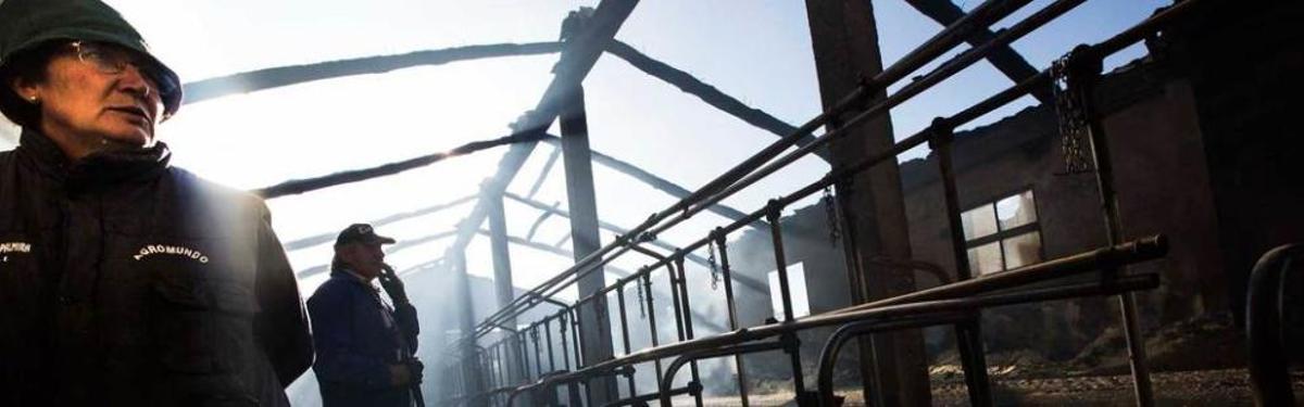 El día que murió "Manín"