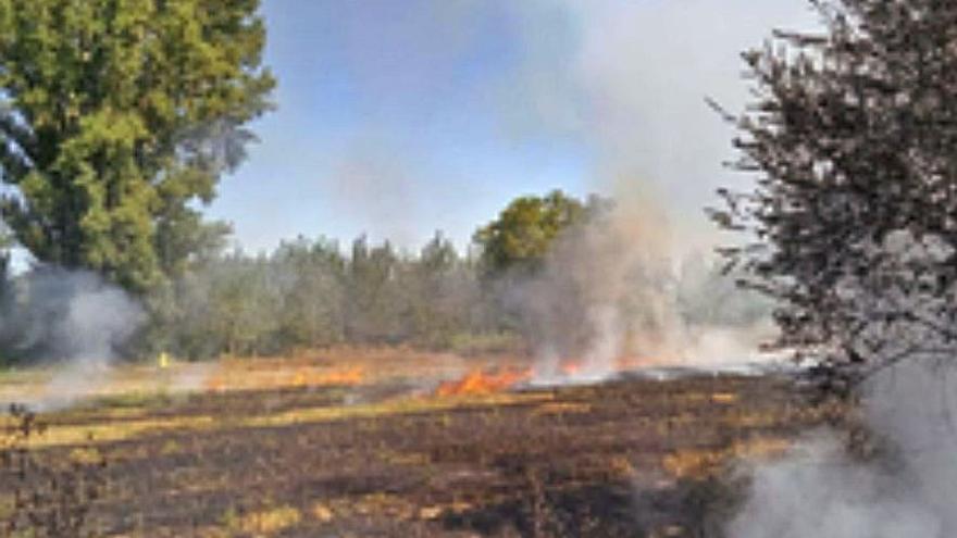 Extinguidos dos fuegos en Grijalba y Santa Cristina