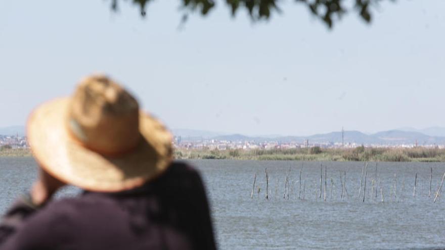 Un hombre observa l&#039;Albufera.