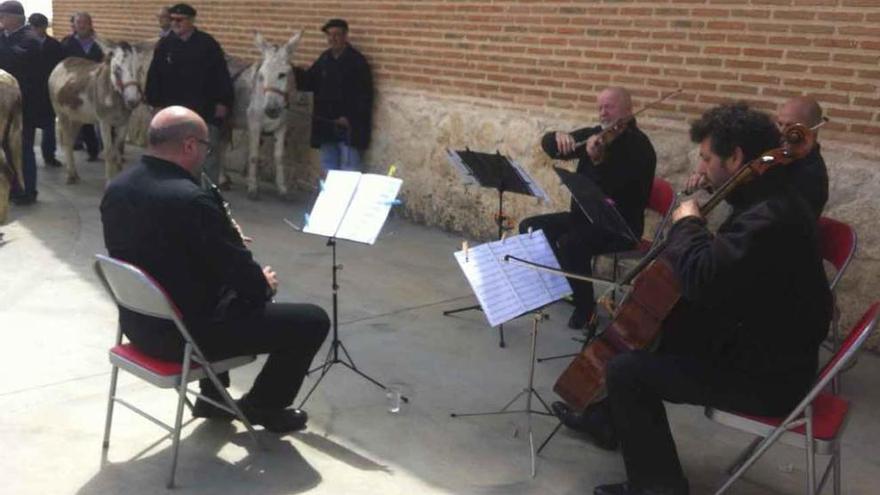 Al fondo, los burros atentos mientras los músicos tocan.