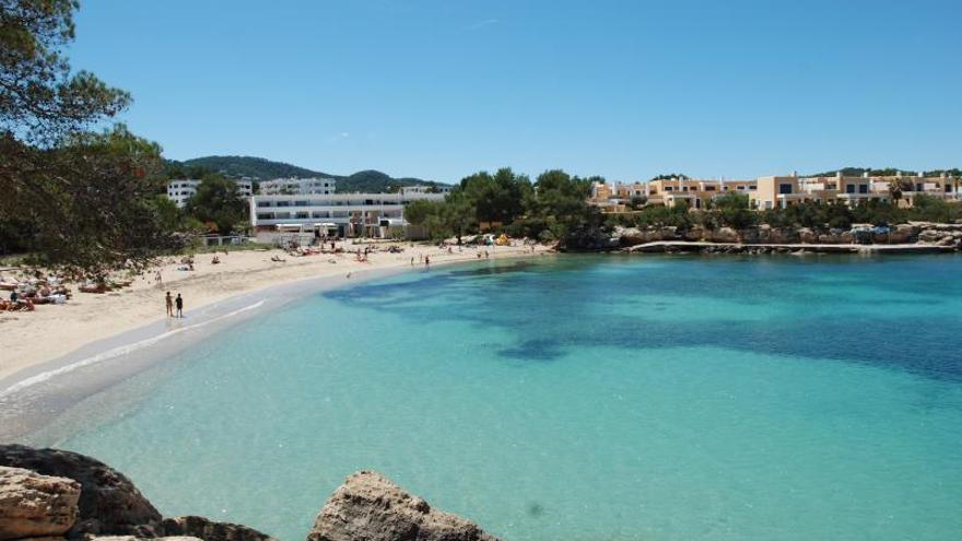 Playas de Ibiza: El control de algas en Port des Torrent y Cala Vedella que quedó desierto en 2022 se encarece un 65%